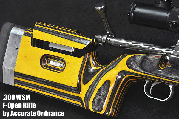 F-Open Defiance Action .300 WSM F Class PR&T Brux Batlein rifle