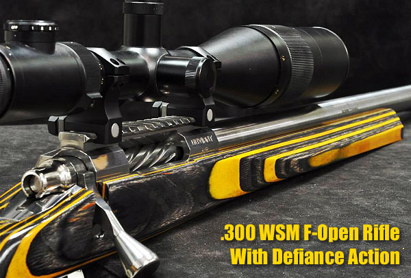 F-Open Defiance Action .300 WSM F Class PR&T Brux Batlein rifle