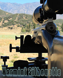 California Varmint Silhouette