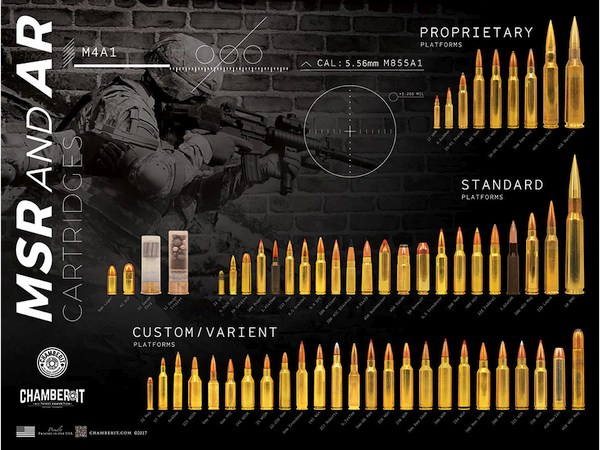 Big Bore Cartridge Comparison Guide Poster