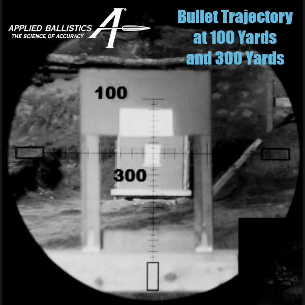applied ballistic 100 300 yard dual target linear flight test