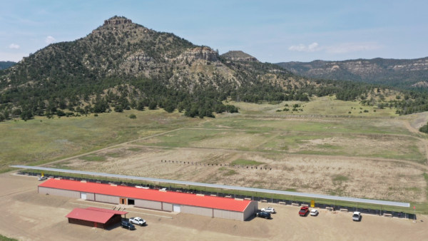 N50 national league air rifle airgun .22 LR rimfire raton nm august 2025