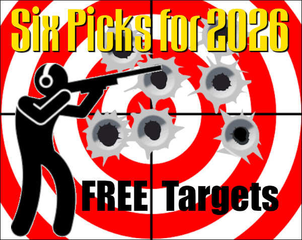 shooting paper printable fly flies target