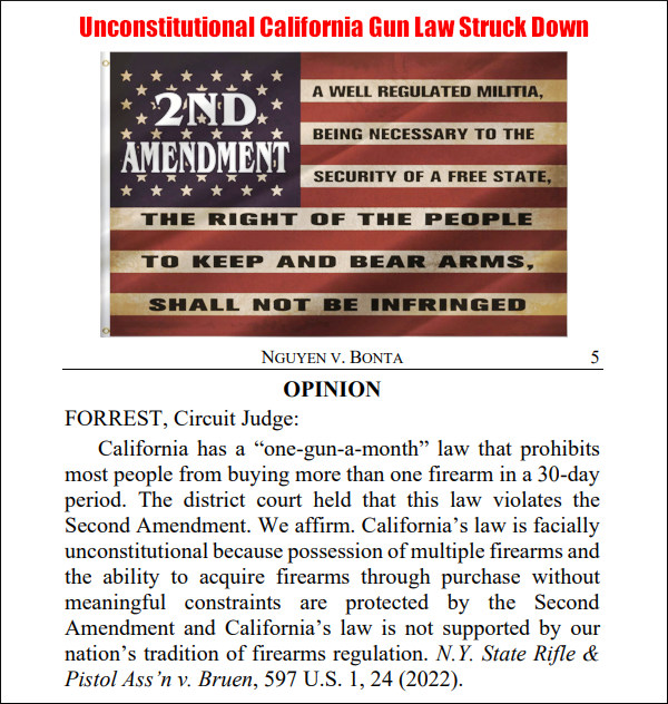 second amendment nguyen v. bonta ninth 9th circuit decision gun rights