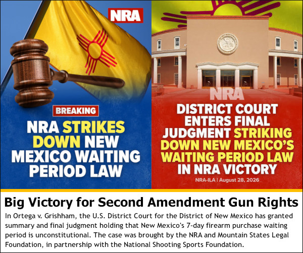 ortega grisham gun firearms waiting period second amendment new mexico constitutional