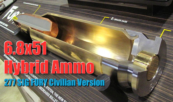 6 8x51mm Sig Daily Bulletin
