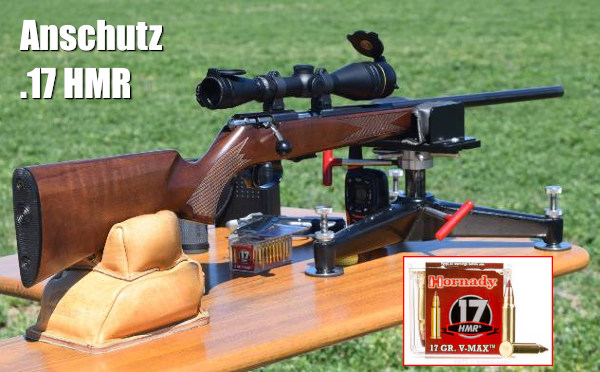 varmint hunting varminter sage rat oregon 20 vartarg .17 hmr sunday gunday