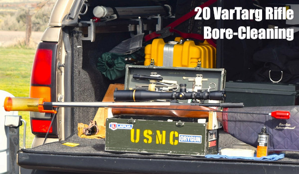 varmint hunting varminter sage rat oregon 20 vartarg .17 hmr sunday gunday