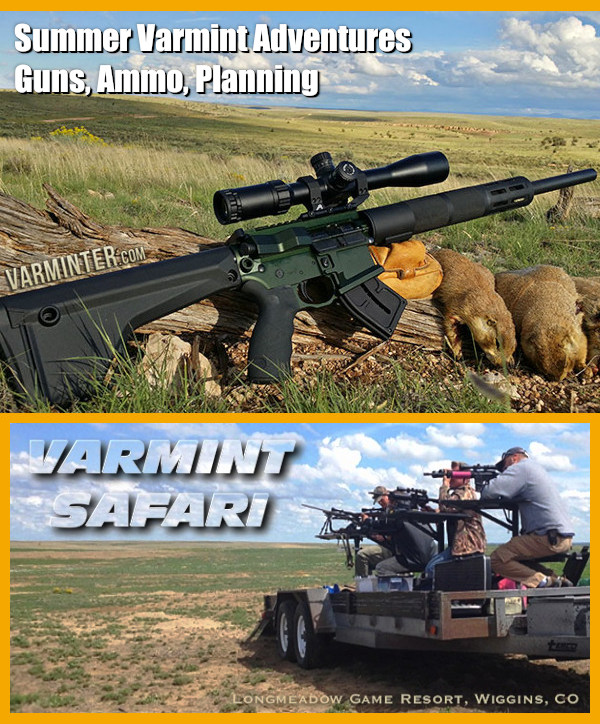 sunday varminting Varmint Bullet 17 hmr 6mmBR Prairie dog