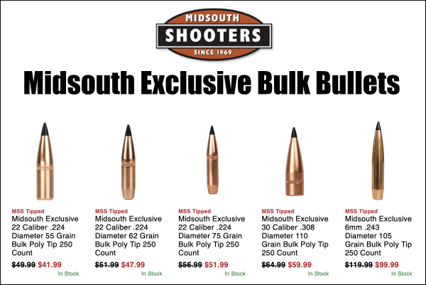bulk bullet sale