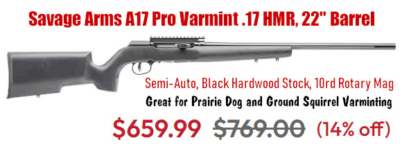 savage a17 varmint rifle 17HMR .17 HMR boyds stock