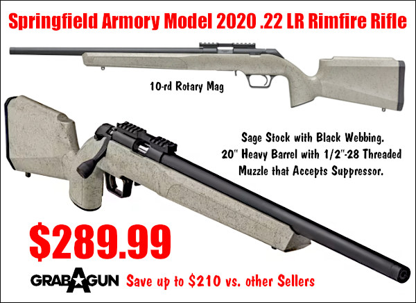 Springfield Model 2020 rimfire 22 LR rifle sale