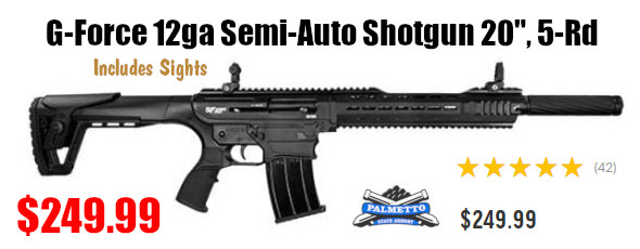 g-force gforce 12ga semi-auto shotgun sale Other link https://alnk.to/d3FQds7