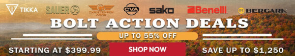 bolt action blowout sale