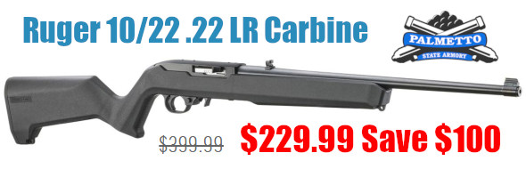 palmetto ruger 10/22 .22 lr carbine sale