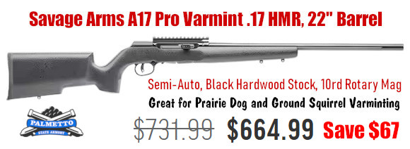 savage a17 pro varmint rifle 17HMR .17 HMR boyds stock