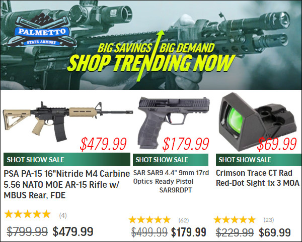 palmetto armory AR15 pistol optics sale