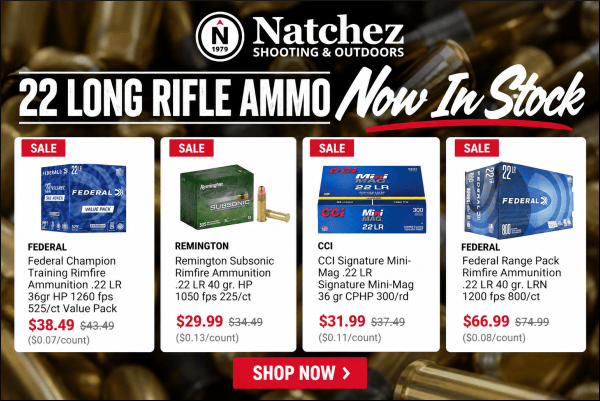 giant 22 ammo sale 